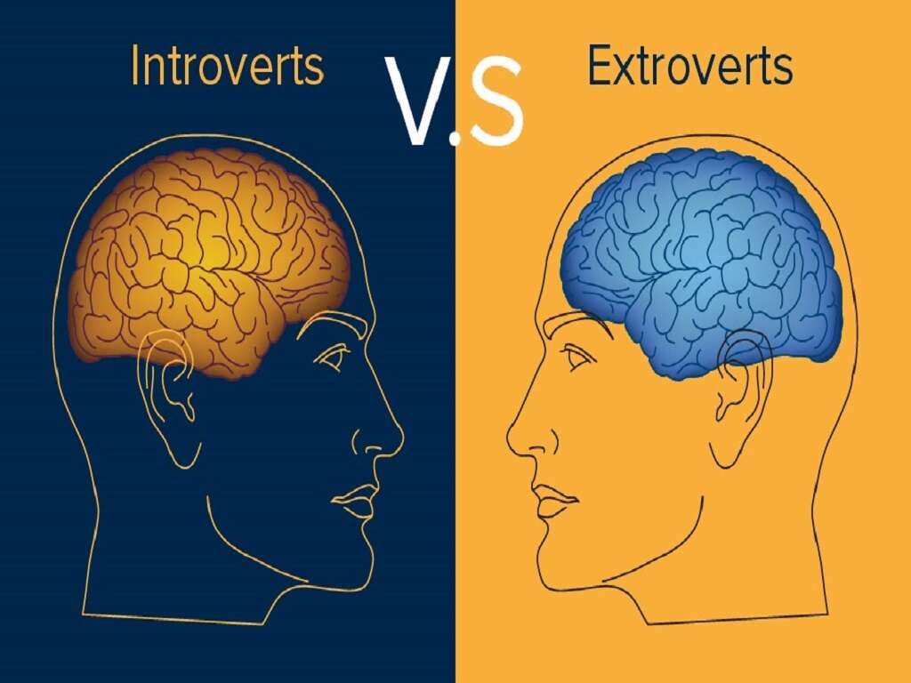 Are You an Introvert or an Extrovert?