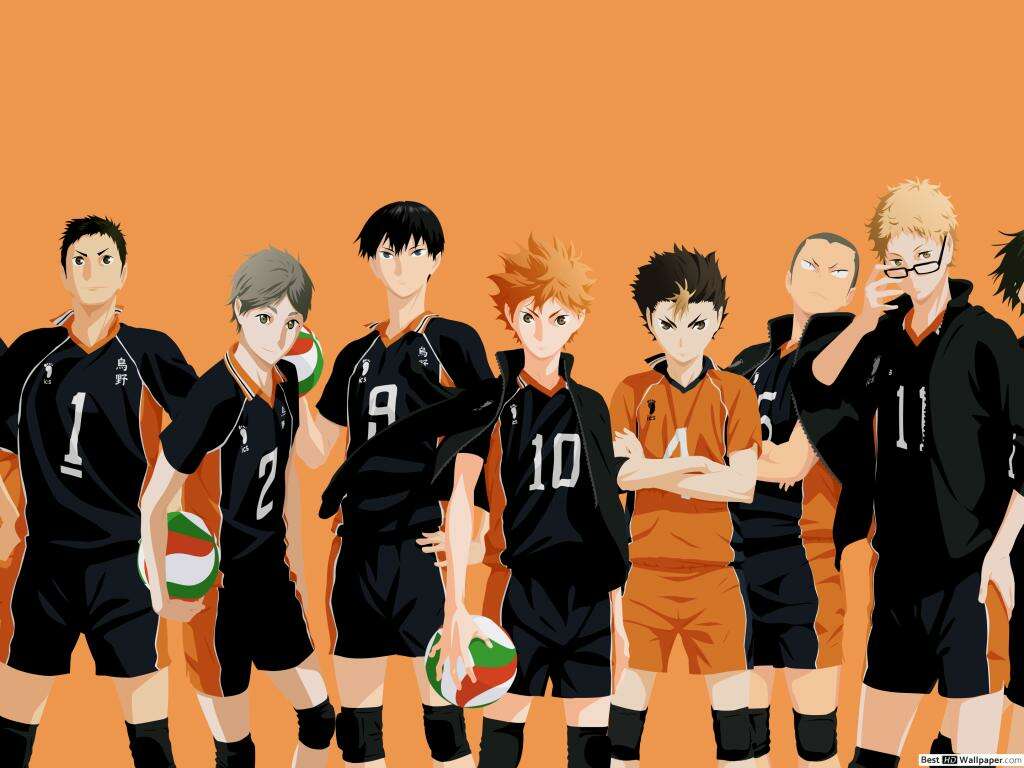 Haikyuu: Karasuno Volleyball Team Quiz