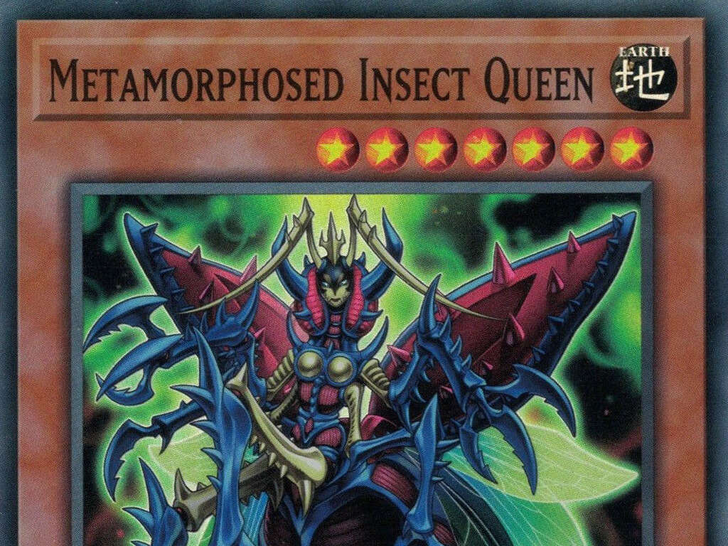 Which Yu GI Oh Gx Character Are You - ProProfs Quiz