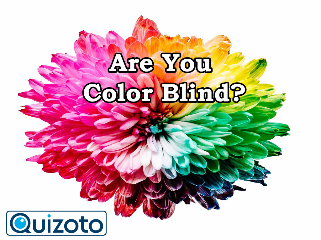 Are You Color Blind?