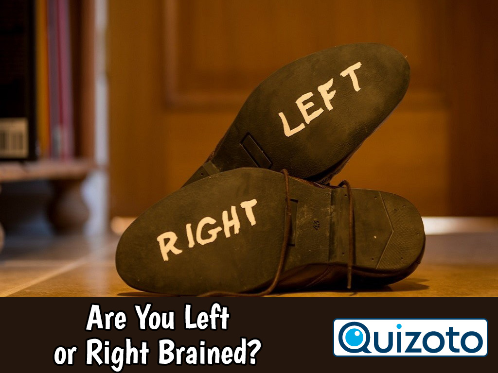 Are You Right or Left Brained?