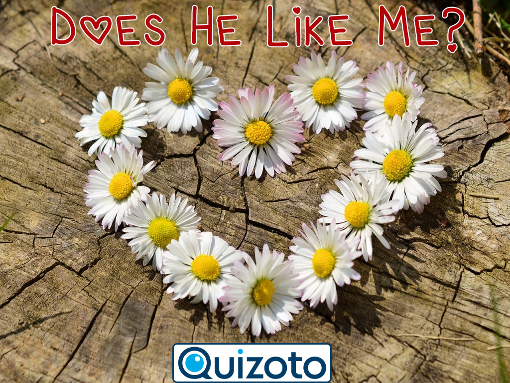 Does He Like Me?